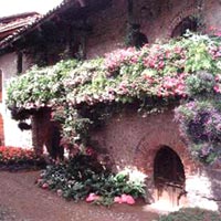 Foto che rappresenta una facciata fiorita