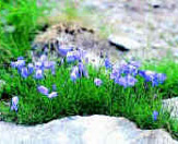 Immagine del Giardino di Oropa