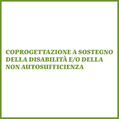 Coprogettazione a sostegno della disabilità e/o della non autosufficienza