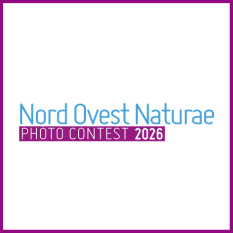 Logo Nord Ovest Naturae 7ª edizione