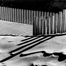 L'Inverno grande artista. Fotografie di Francesco Delorenzi