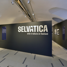 Selvatica 2026