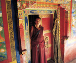 Fotografia di Tibetano