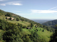 Immagine della collina