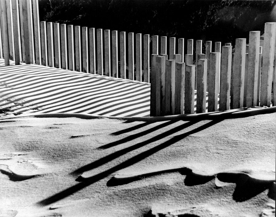 Paesaggio invernale di Francesco Delorenzi