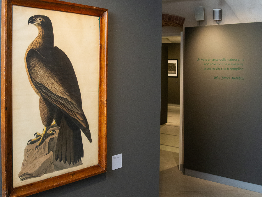 Opere in mostra