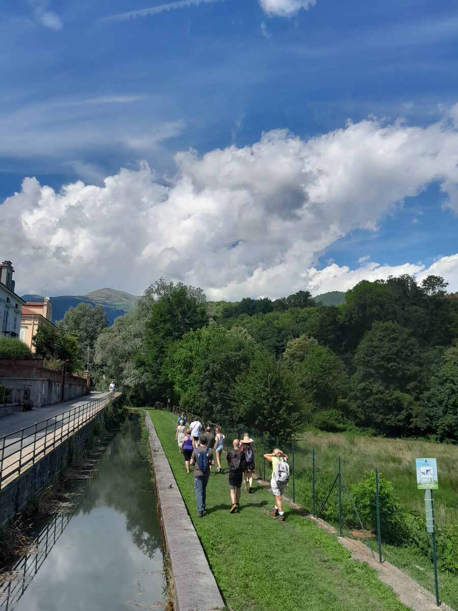 Amici della Lana