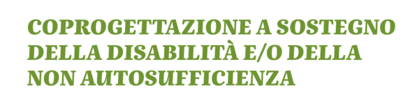 Coprogettazione a sostegno della disabilità e/o della non autosufficienza