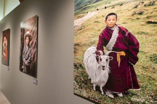 Allestimento della mostra