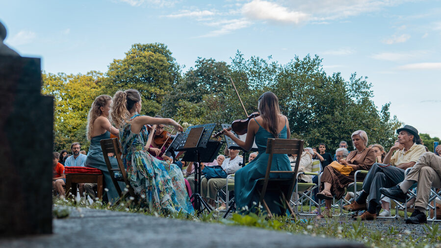 Peace Orchestra Project Foundation