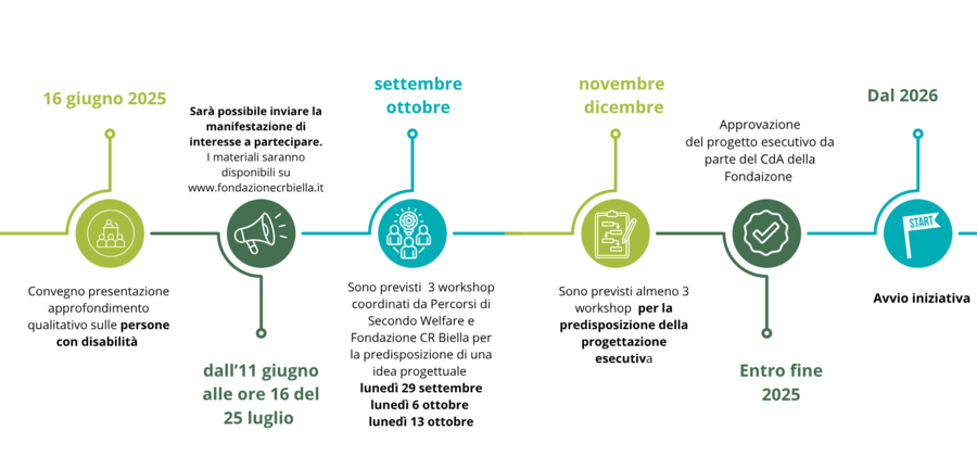 Cronoprogramma coprogettazione disabilità